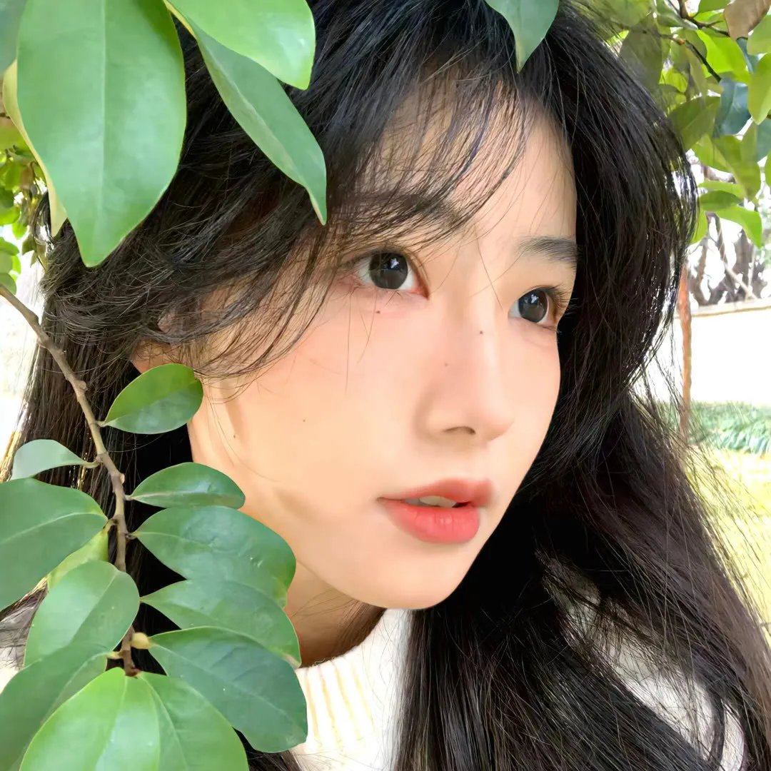 心之所向